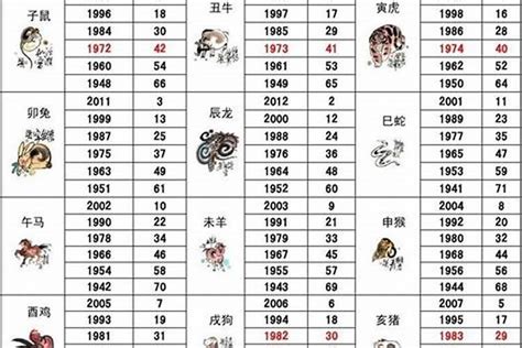 02年属相|2002年属什么生肖属相 2002年属什么生肖属于什么命